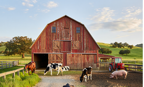 Biomass and environmental benefits